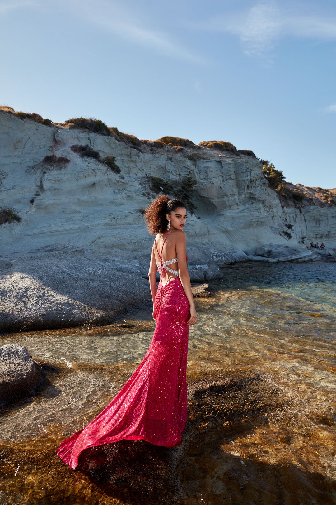aerie pink dress Aerie Couture 286 - Long Glitter Tulle/Lace A-line Dress
