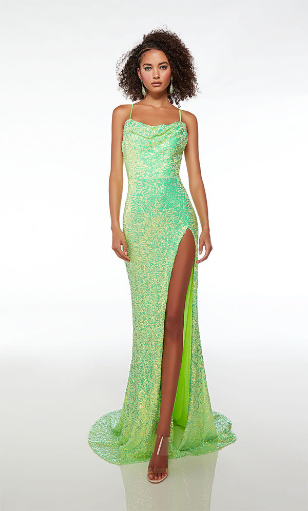 Alyce Prom (61588) Spring 2024