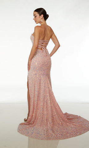 Alyce Prom (61537) Spring 2024