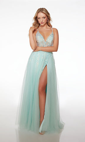 Alyce Prom (61562) Spring 2024